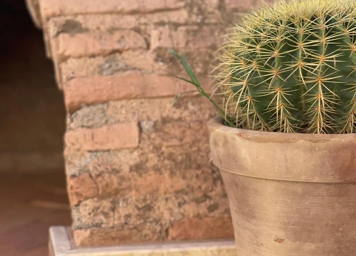 Riad Gasaembre Touareg Marrakesh Villa