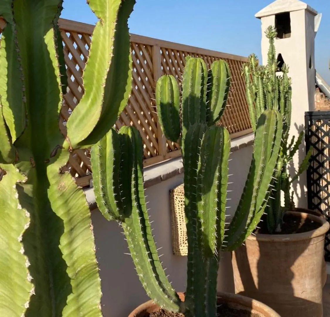 Riad Gasaembre Touareg Marrakesh Morocco